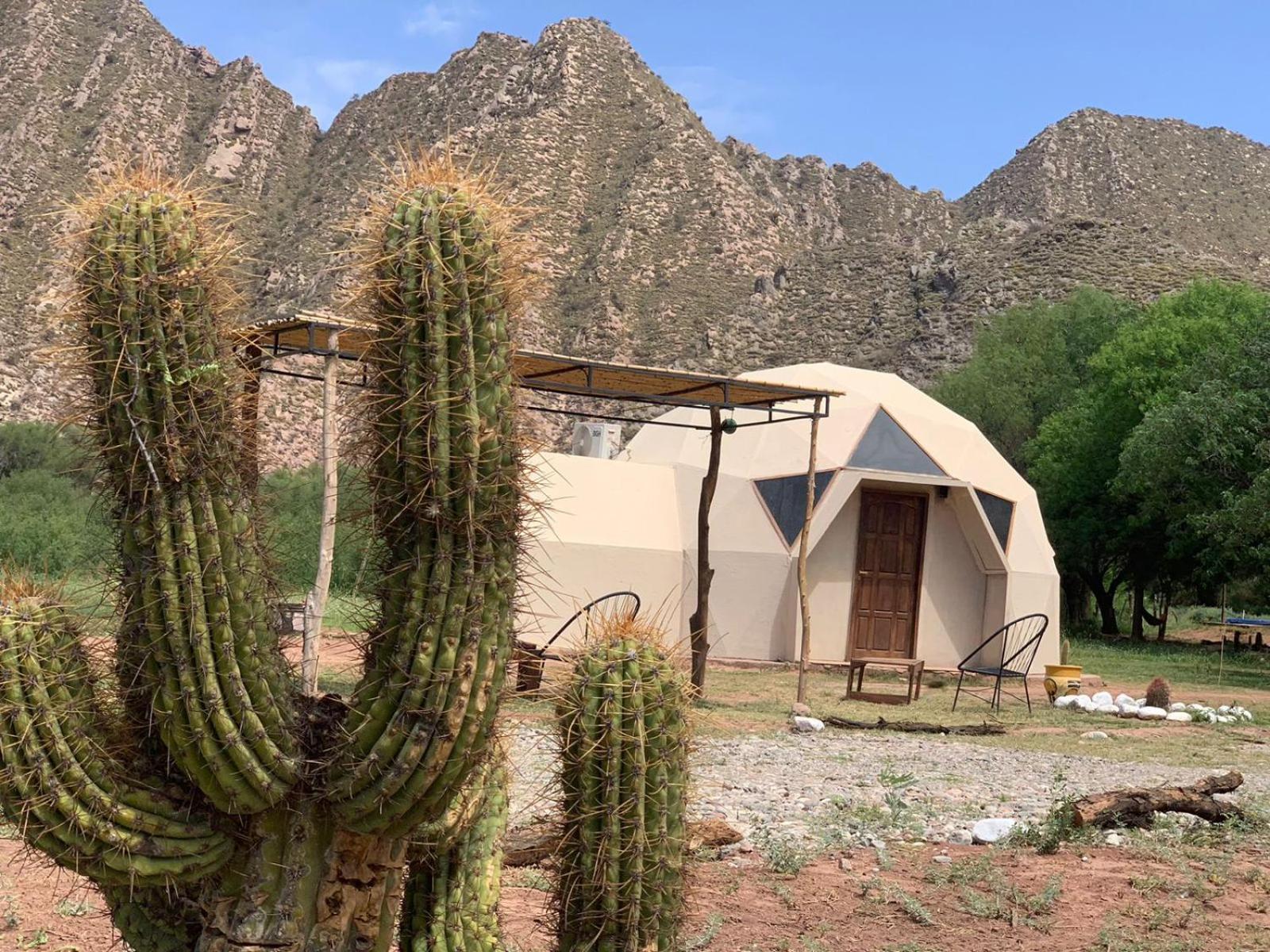 Hotel Hacienda Casa Blanca 티노하스타 외부 사진